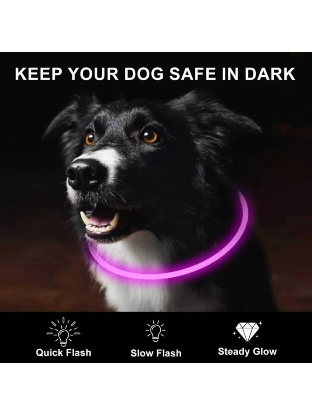 2-Pack Rechargeable LED Dog Collars for Night Walking, Light Up Safety Necklaces